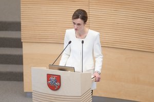 V. Čmilytė-Nielsen: svarbu išlaikyti strateginę kantrybę, nes Rusija bandys ją palaužti
