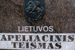 Lietuvos apeliacinis teismas pripažino nepilnametę kalta dėl jaunuolio nužudymo