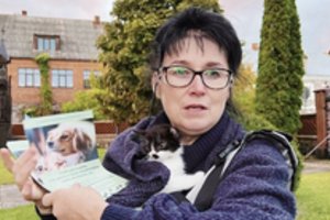 Vos pradėjusi savanoriauti rokiškietė savo namuose priglaudė 76 kates: reikia bijoti ne gyvūnų, o blogų žmonių