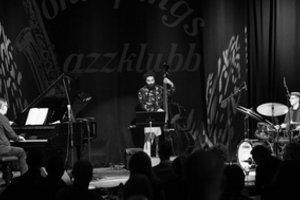 D. Pulausko trio koncertu Švedijoje pradėtas bendradarbiavimas su Jonšiopingo džiazo klubu
