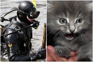 Aukštaitijoje kačiuką gelbėjęs ugniagesys turėjo nerti į gilų šulinį su vandeniu