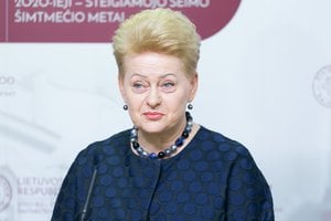 Teismas nutraukė informaciją apie D. Grybauskaitę rinkusio šnipo apeliacinį procesą