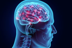Mokslininkė: neuromitai arba ar iš tikrųjų išnaudojame tik 10 proc. savo smegenų?
