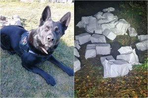 Pasieniečiams įkliuvo 2 rūkalų kontrabandininkai: juos sučiupti padėjo tarnybinis šuo