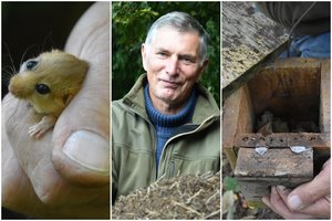Garsiausią pasaulyje miegapelių tyrėją britų ūkininkas bandė apvynioti aplink pirštą – lietuvis nesusigundė pažadais 