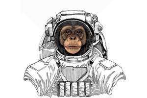 Kinija planuoja į savo kosminę stotį siųsti beždžiones, kad šios ten užsiimtų seksu