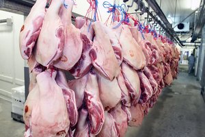 Kiaulių skerdimo apimtys Lietuvoje mažėjo, o supirkimo kaina didėjo