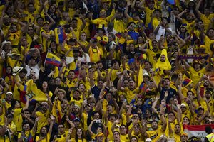 Ekvadoro futbolo sirgaliai Kataro stadione skandavo tai, apie ką kalba visas pasaulis