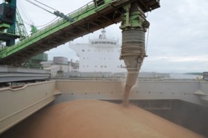 Rusija rinkas užvertė pigiais grūdais: į Meksiką ir Braziliją norintiems eksportuoti grūdininkams tenka kovoti