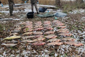 Kauno mariose agresyvų tinklininką nufilmavo žvejys: iš įvykio vietos pasišalino, bet išsisukti nepavyko