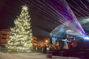 Vilkaviškyje sužibs Kalėdų eglė – tradiciškai miestą papuoš gyva žaliaskarė