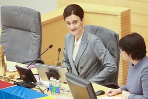 V. Čmilytė-Nielsen: dar daug reikia nuveikti, kad moterys Lietuvoje galėtų laisvai save realizuoti