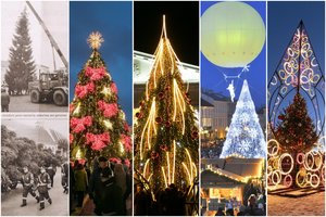 Šiemet Vilniaus Rotušė – be žaliaskarės: pamatykite, kokios Kalėdų eglės puošė senamiestį