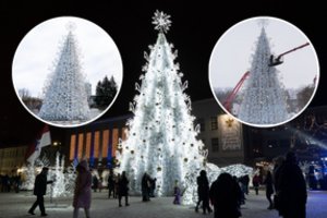 Nesivaidena: buvusi Panevėžio Kalėdų eglė šiais metais sušvito Daugpilyje