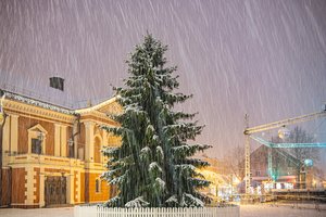 Sniegu užklotoje Klaipėdoje – vaizdas lyg iš atviruko: žada, kad Kalėdų eglė sužavės tikrumu ir paprastumu