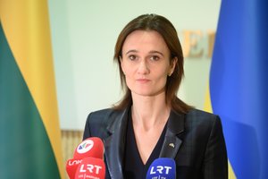 V. Čmilytė-Nielsen atmeta opozicijos kitiką: S. Šedbaro kandidatūros niekam nesiūliau