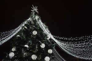 Spaudžiant šaltukui Vilkaviškyje įžiebta išskirtinėmis dekoracijomis padabinta Kalėdų eglė – nenusileidžia kitiems miestams