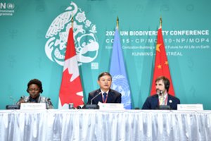 JT susitarimo projektas: raginama skirti 20 mlrd. dolerių tarptautinę pagalbą bioįvairove