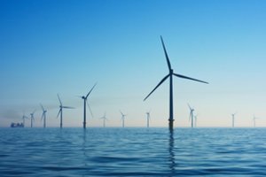 Seimas patvirtino antrojo vėjo parko Baltijos jūroje plėtros tvarką