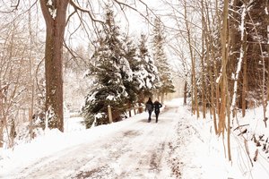 Po sočių švenčių – į žiemos žygį: 10 pažintinių takų, kuriuos verta aplankyti
