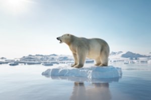 Kelio atgal nebėra: geriausiu klimato kaitos scenarijaus atveju iki 2100 m. gali ištirpti maždaug pusė pasaulio ledynų