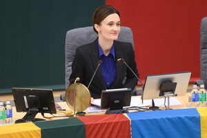 V. Čmilytė-Nielsen: geriausia, kad viešų nuomonių išsiskyrimų dėl vokiečių brigados nebūtų
