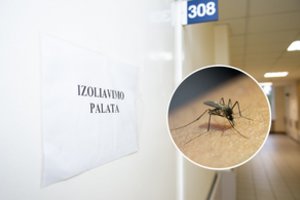 Iš kelionės po šiltus kraštus panevėžietis parsivežė maliariją: vyras gydomas ligoninėje