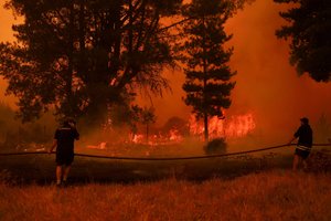 Miškų gaisrai Čilėje nusinešė mažiausiai 22 žmonių gyvybes