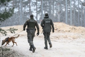 Neteisėtai mėginusių kirsti sieną užsieniečių pastarąją parą Lietuvoje nefiksuota