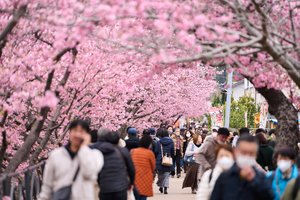 Gimimų skaičius Japonijoje pasiekė rekordines žemumas