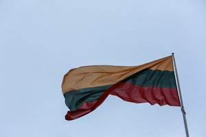 Kovo 11-ąja Vilniuje rasta į krūmus įkritusi ir sušlapusi Lietuvos vėliava