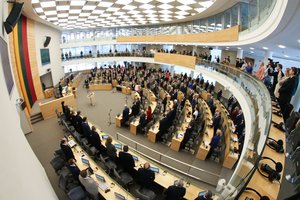 Seimo opozicija sureagavo į Statuto pataisas: valdantieji veikia ciniškai