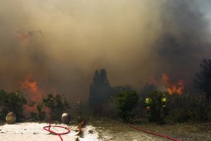Pirmasis didelis šiais metais miško gaisras Prancūzijoje sunaikino 900 hektarų plotą