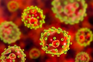 Europoje plinta mirtinas virusas: vaistų nėra, ligą perneša Lietuvoje dažnas parazitas