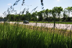 Vilnių planuoja skirstyti į žolės šienavimo zonas: informaciją skelbs interaktyviame Vilniaus žemėlapyje