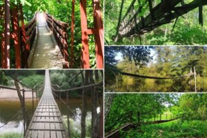 Darius aplankė 72 kabančius tiltus Lietuvoje: vargu, ar esat matę bent pusę