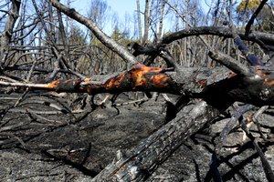 Per miškų gaisrus Rusijoje jau žuvo daugiau kaip 20 žmonių