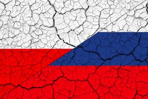 Varšuva iškvietė Rusijos ambasadorių dėl pavojingo naikintuvo manevro