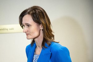 V. Čmilytė-Nielsen kviečia partijas diskutuoti dėl savivaldos skaidrinimo: viliasi, kad taip paspartins sprendimų priėmimą