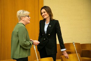 V. Čmilytė-Nielsen: konservatorių prezidiumo sprendimai yra racionalūs ir laukti