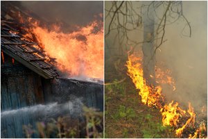 Kauno rajone liepsnose skęsta privati valda: šeima netenka namų, ugnis persimetė į mišką