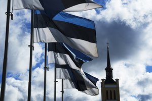 Rusija sulaikė du Estijos pareigūnus, situaciją pakomentavo užsienio reikalų ministras