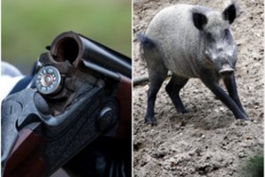 „Šaudys viską, kas pasitaikys po akimi“: dėl medžiotojų užmojo Seimo nariai žodžių nerinko