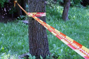 Kraupus radinys Švenčionių rajone: miško masyve aptiktas vyriškio kūnas