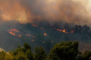 Ministras pirmininkas: Graikija „kariauja“ su miškų gaisrais