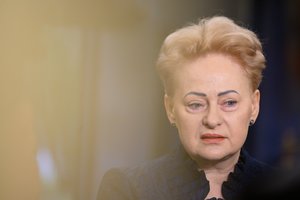 Po užuominos dėl prezidento rinkimų – ekspertų verdiktas: ar tikrai D. Grybauskaitės fenomenas virstų rinkėjų balsais