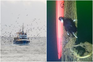 Žvejybiniai tinklai tapo kone pražūtingiausiu Baltijos jūros plastiku: narams juos ištraukti darosi vis sudėtingiau