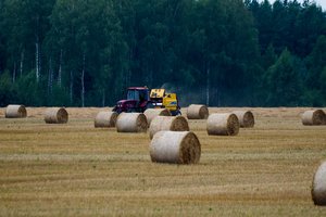Ūkininkų įvaizdis Lietuvoje gerėja: pasakė, kas tai lemia