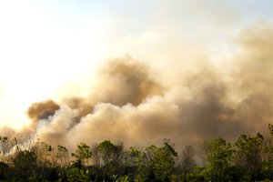Miškų gaisrų situacija Vakarų Kanadoje blogėja