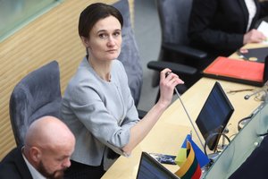 V. Čmilytė-Nielsen: šeimos mokesčio lengvata būtų našta valstybės finansams
